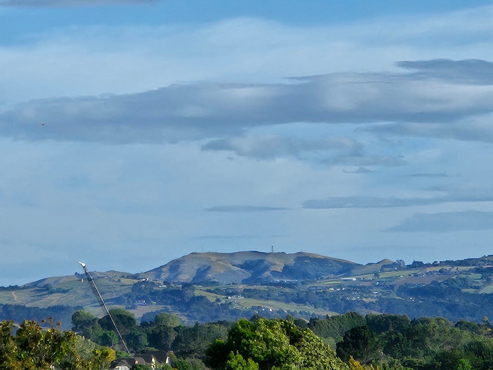 The Bombay Hills (Puketutu) rising behind treetops under a high cloud sky.