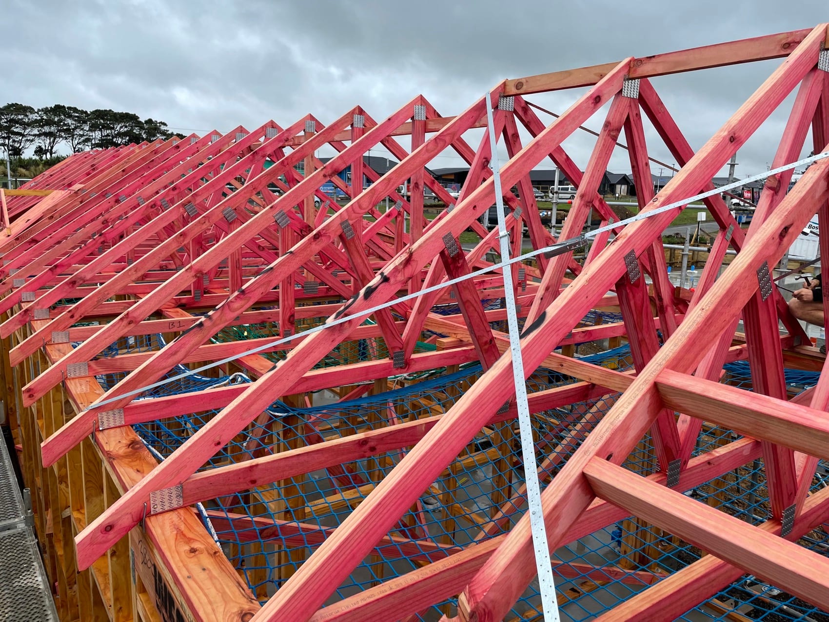 Treated roof trusses set out and braced across a new build, seen from the scaffold.