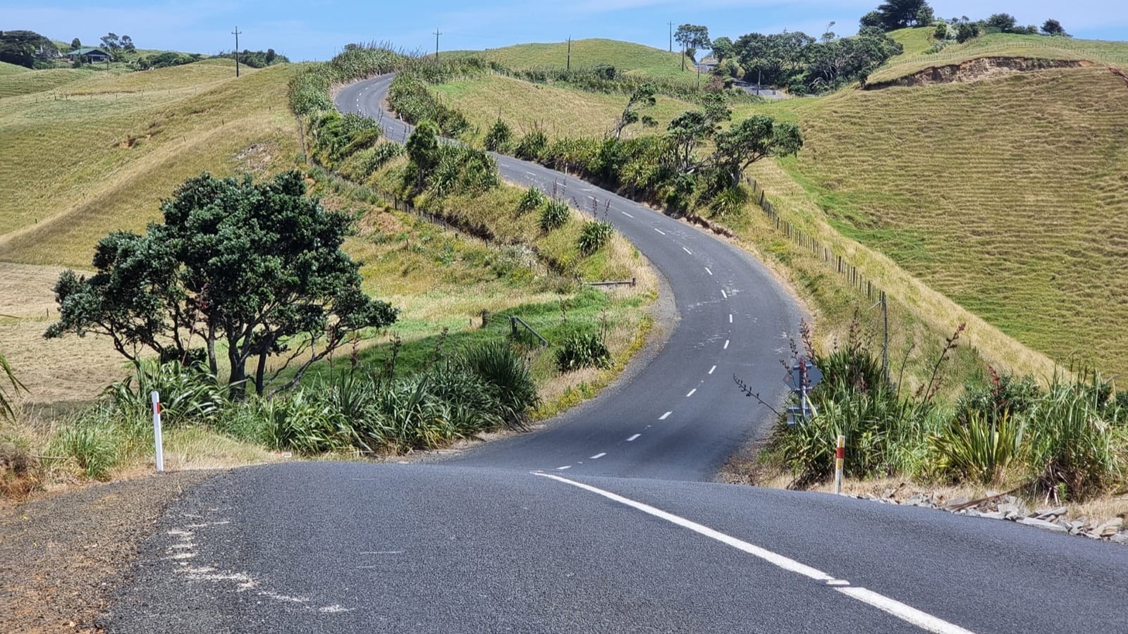A rural road winding through golden farmland hills on the Awhitu Peninsula, Franklin.