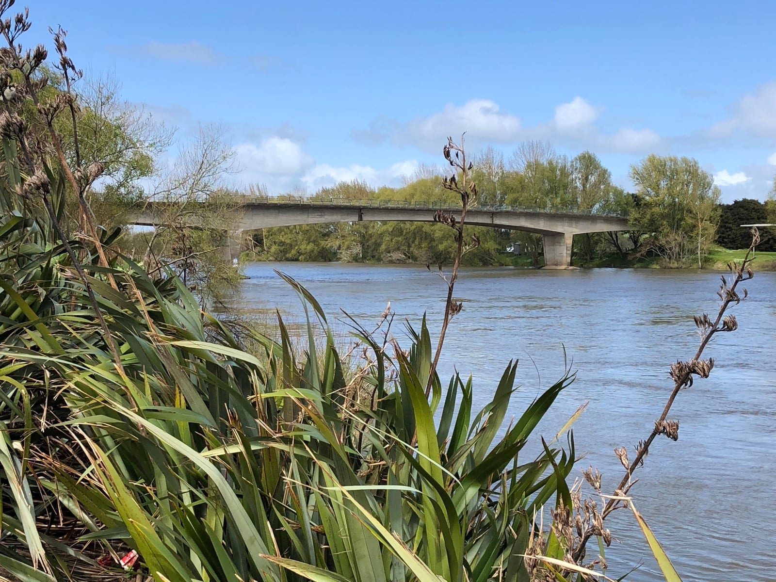 Mercer Bridge over the Waikato River seen through riverbank flax.