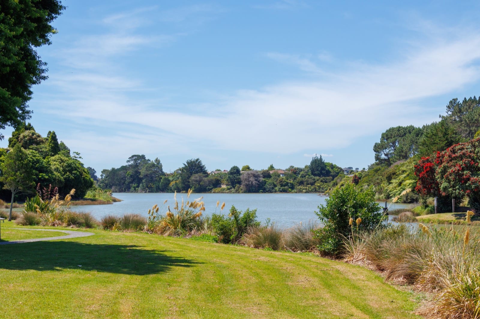 The Waiuku River estuary and flowering pohutukawa seen from Tamakae Reserve, Waiuku.