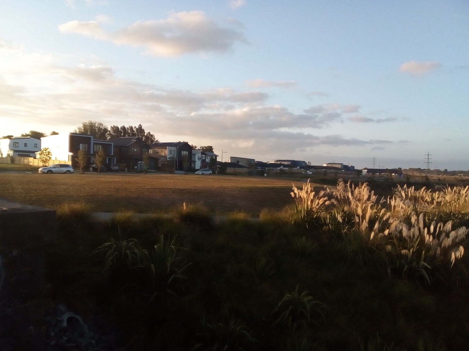 New housing at the Auranga development seen across open ground at dusk, Drury.